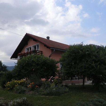 Guesthouse Blazenka Hodak Seliste Dreznicko Exterior photo