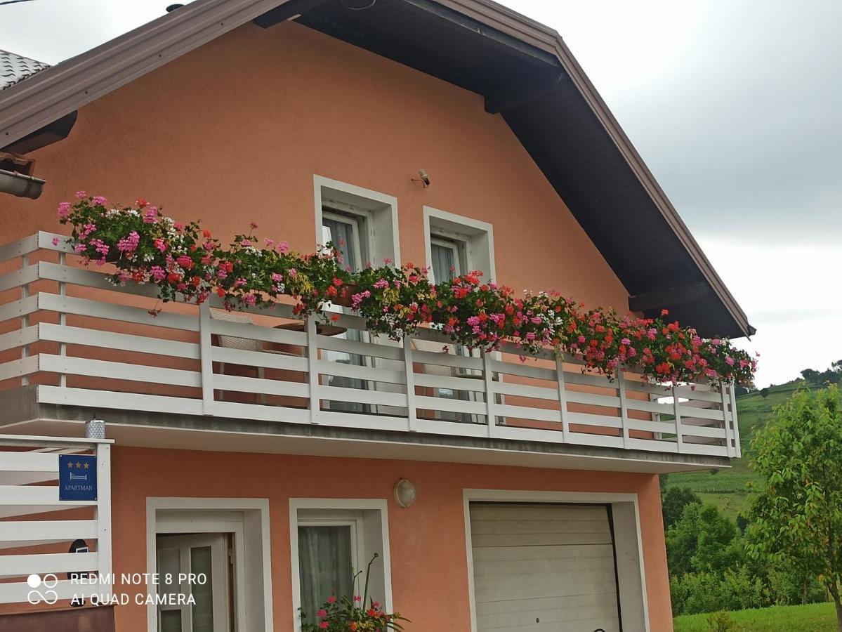 Guesthouse Blazenka Hodak Seliste Dreznicko Exterior photo