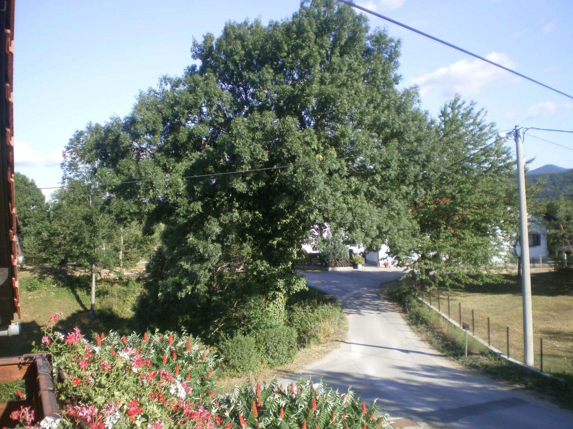 Guesthouse Blazenka Hodak Seliste Dreznicko Exterior photo