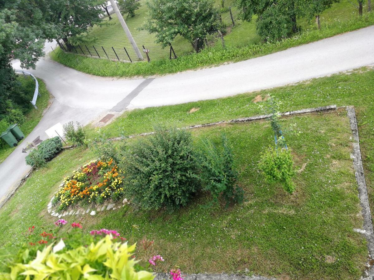 Guesthouse Blazenka Hodak Seliste Dreznicko Exterior photo